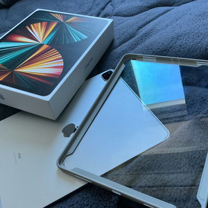 아이패드 프로 12.9 실버 2TB 셀룰러