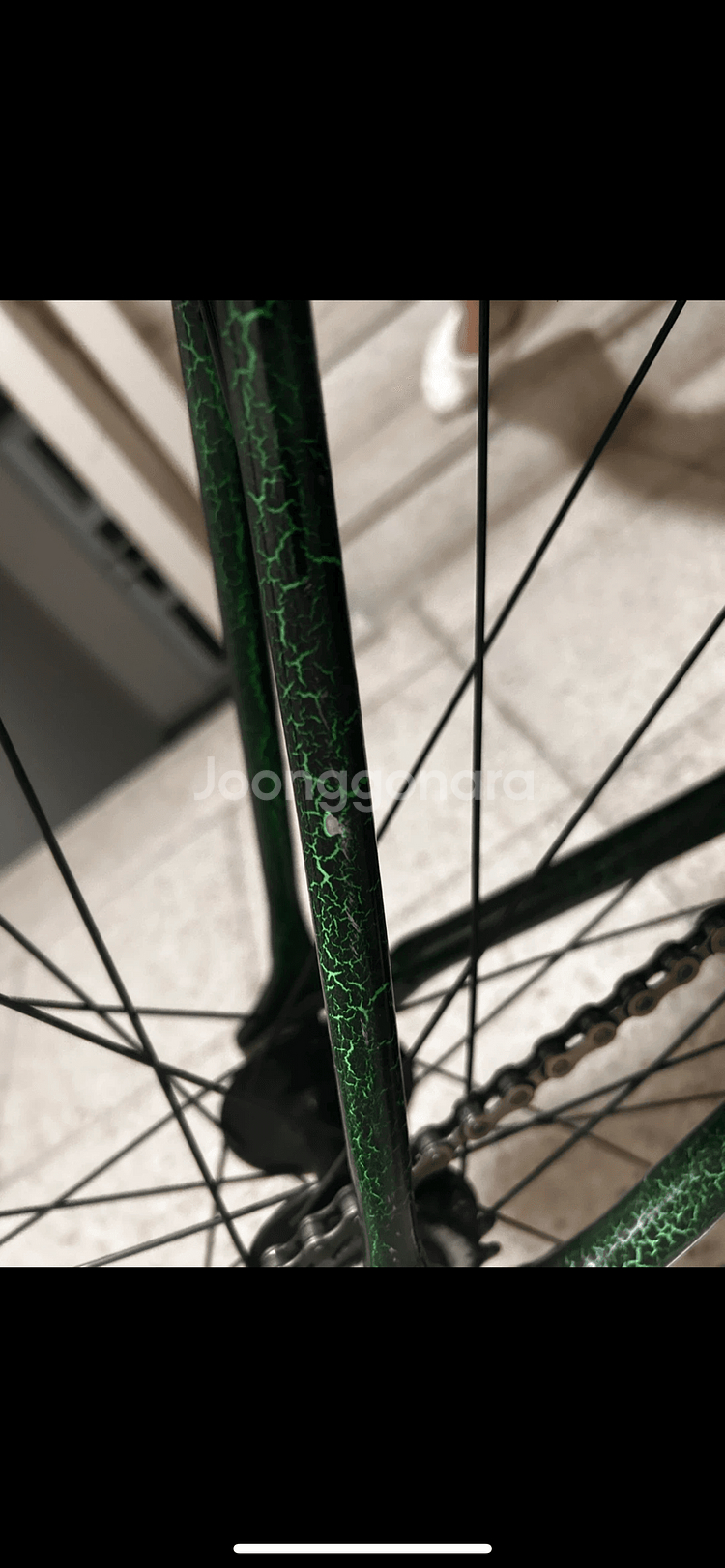 엔진11 볼텍스 2024 개급처--3