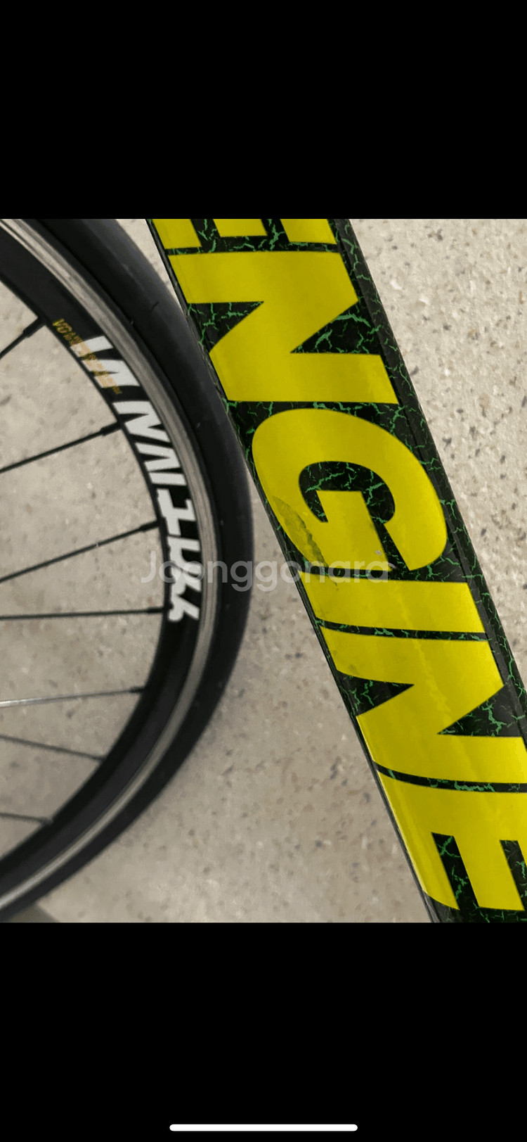 엔진11 볼텍스 2024 개급처--5