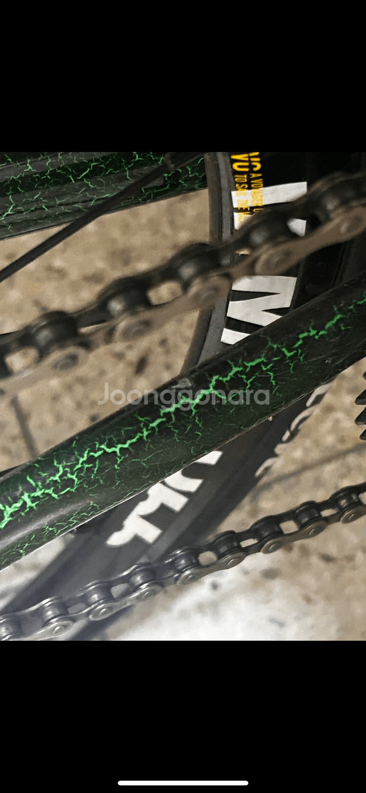 엔진11 볼텍스 2024 개급처--4