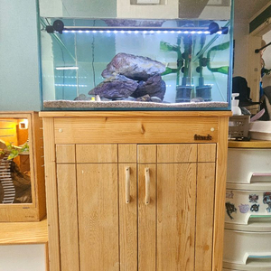 원목 수조장 2자광폭 어항 여과기 전체