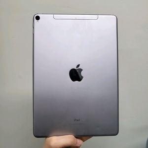 아이패드 프로 10.5 1세대 64기가 셀룰러 LTE 그레이 64GB