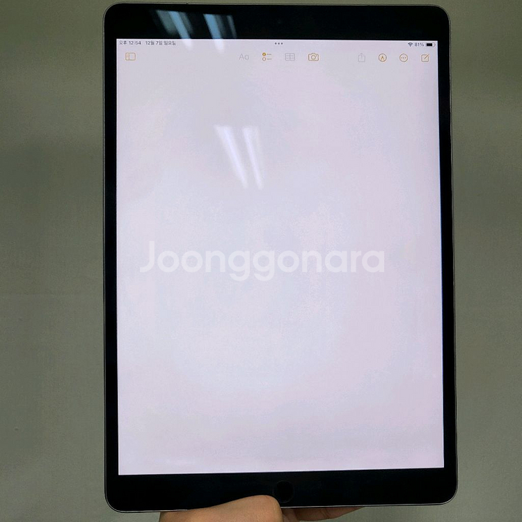 아이패드 프로 10.5 1세대 64기가 셀룰러 LTE 그레이 64GB--6