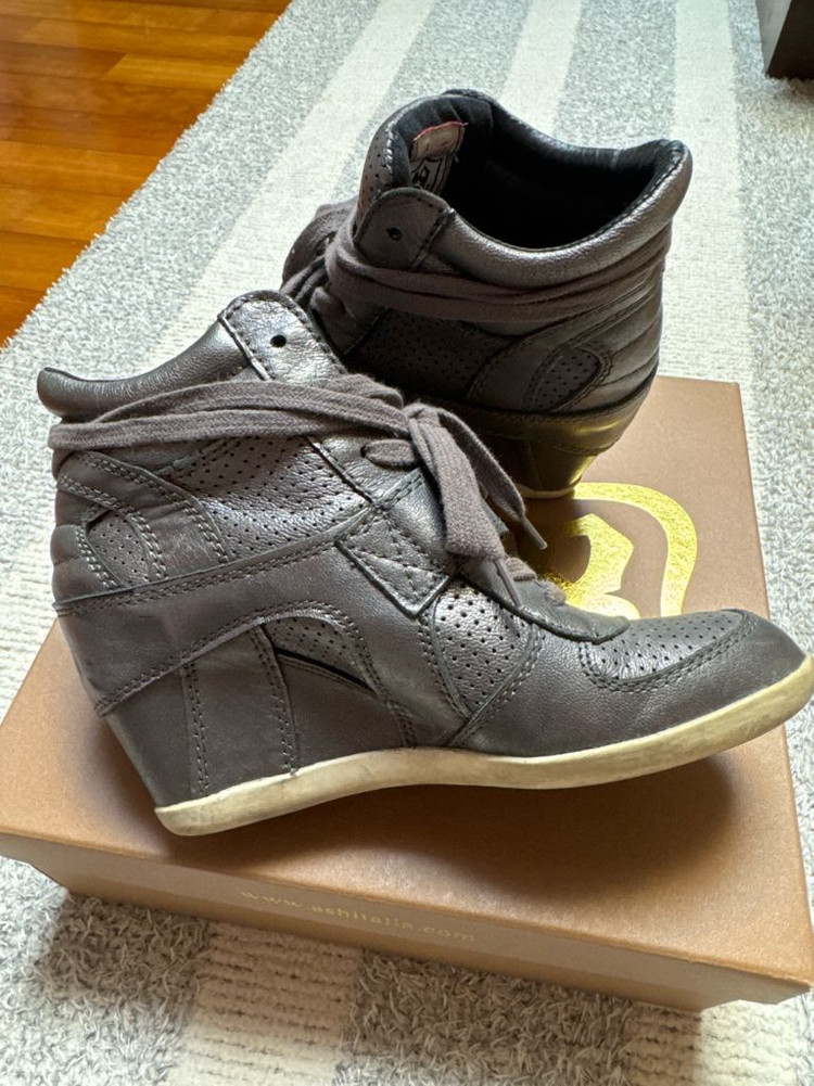 아쉬 Bowie Ter 웨지힐 스니커즈 36--2