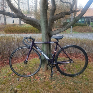 쓰나미 픽시 자전거(snm 100 프레임 사이즈 s 입니다.)