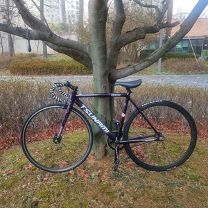 쓰나미 픽시 자전거(snm 100 프레임 사이즈 s 입니다.)