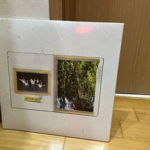 폴킴 Paul Kim lp - pkalbum [다크 그린 컬러 LP]