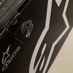 알파인스타 R10 헬멧 XL