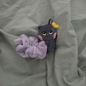 라이즈 원빈 앤톤 토냥덕 멍룡이 스크런치 이미지