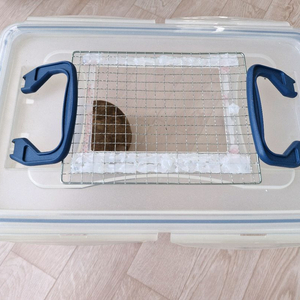 소라게용품 일괄