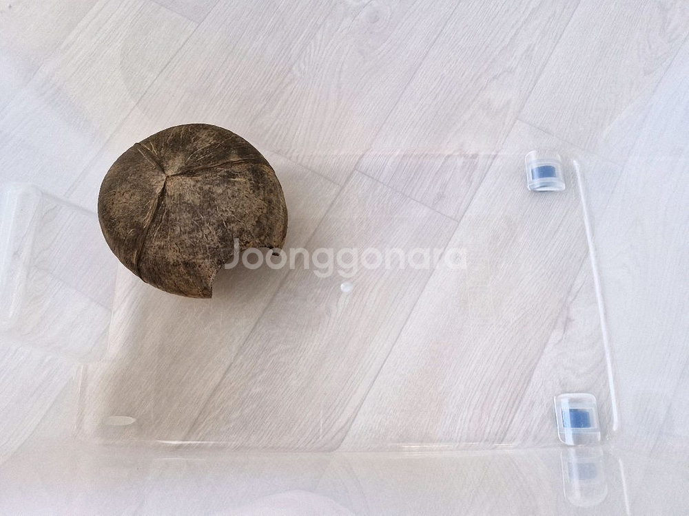 소라게용품 일괄--1