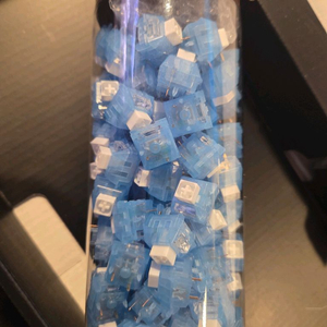 카일 극지여우 스위치 99개 반값 택포