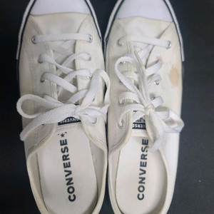 컨버스 올스타 뮬 슬리퍼 240