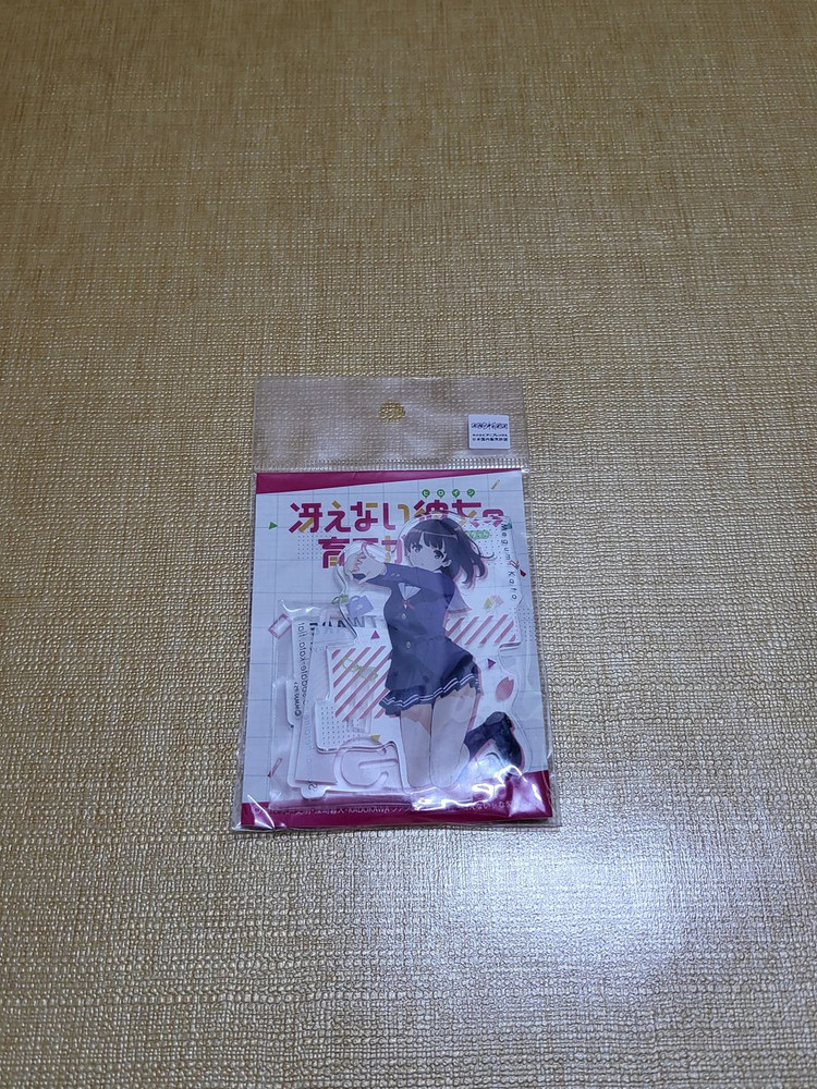 시원찮은 그녀를 위한 육성방법(사에카노) 굿즈 팔아요! 이미지