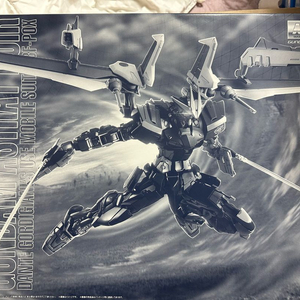 MG건담 아스트레이 누아르 블랑쉬 HWS 캠퍼 슈베어 PG 더블오라이져 메탈빌드 에반게리온 1호기 초판 아스트레아