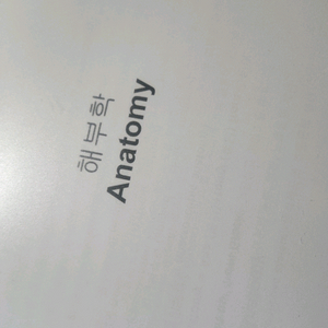 해부학 교재