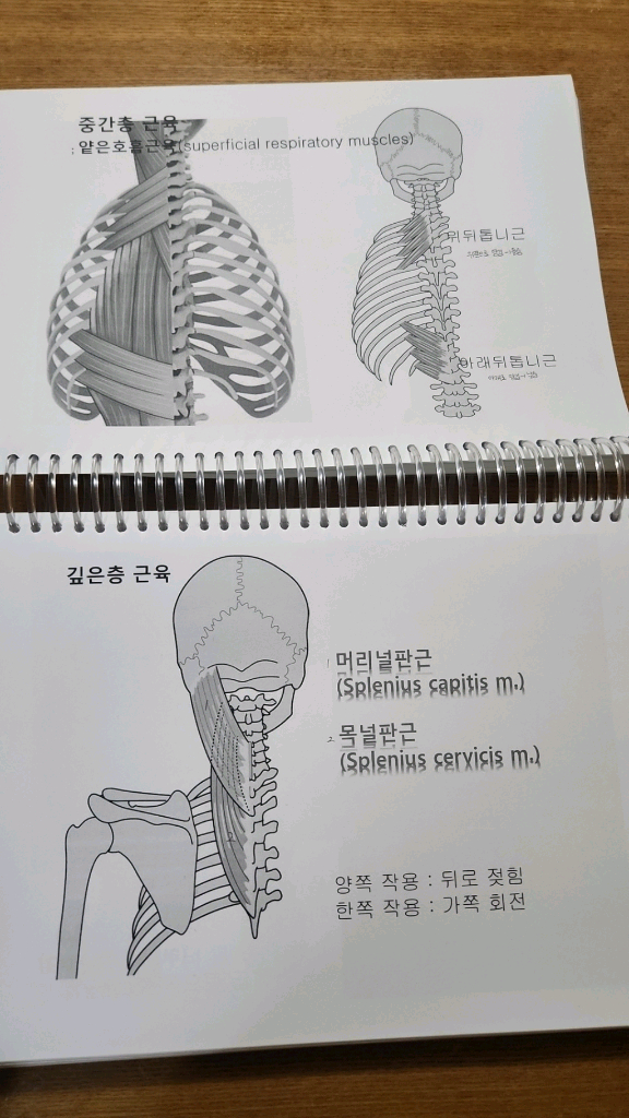해부학 교재--1