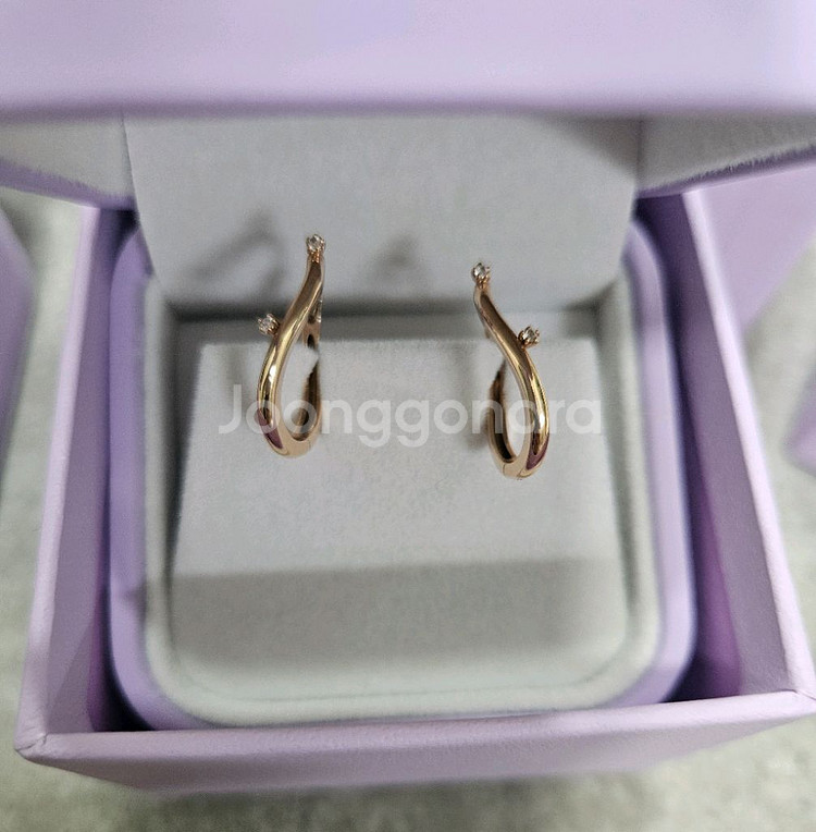 골든듀 애플블러썸3--0