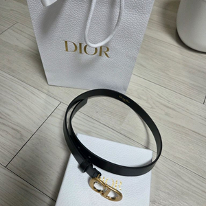 디올 새들 벨트