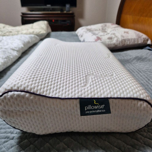 알레르망 필로우와이즈 베개