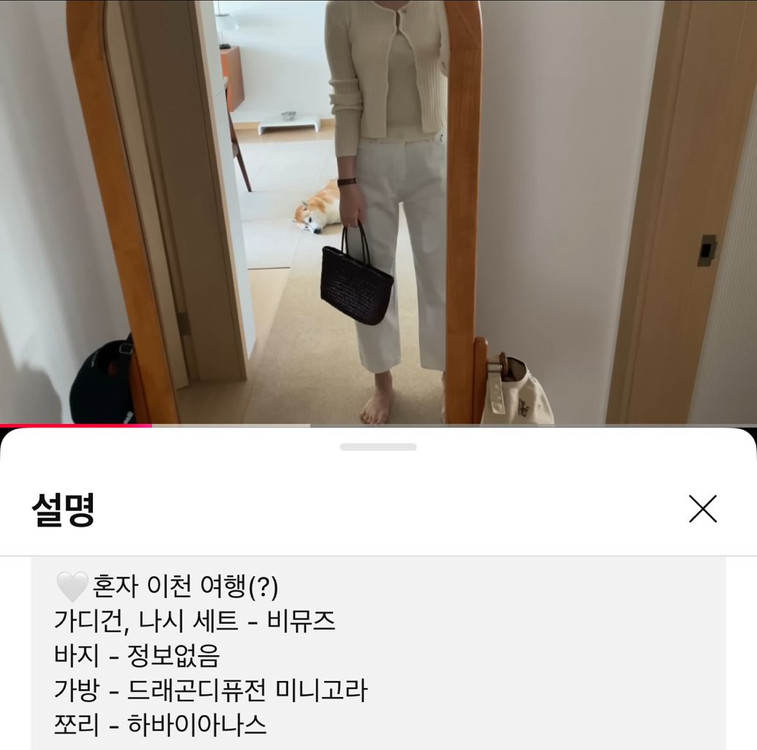 드래곤디퓨전 미니플랫고라+도시백 이너백 이미지