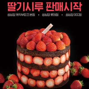 성심당 딸기시루 대행 예약 진행