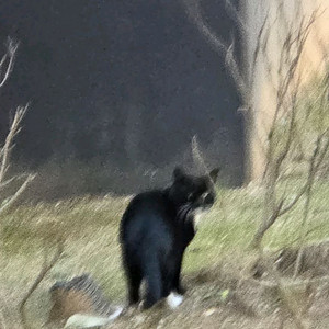 26년 다이어리나 만년형 다이어리 무료나눔 해주세요