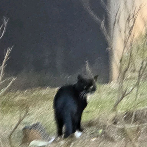 26년 다이어리나 만년형 다이어리 무료나눔 해주세요