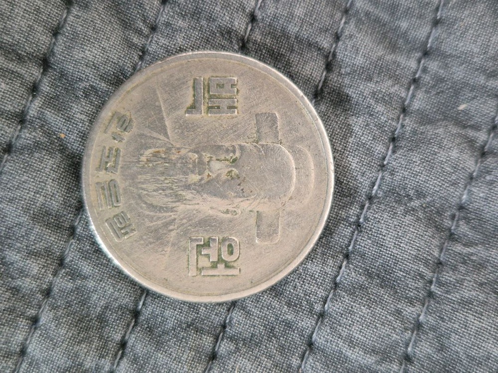 1973년 100원 은화 이미지