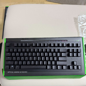 레이저 헌츠맨 v2 tkl 리니어 (razer huntsman) / 키캡, 팜레스트 미사용