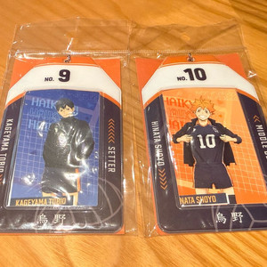 하이큐 히나타,카게야마 포토카드 홀더