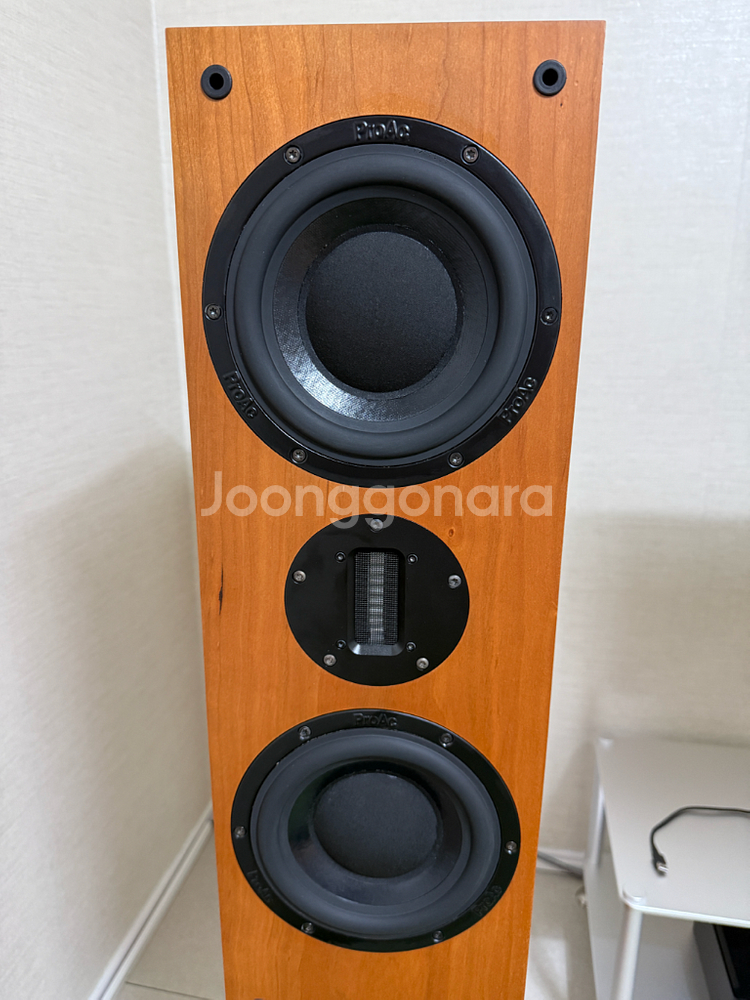 프로악 D48R 스피커--0