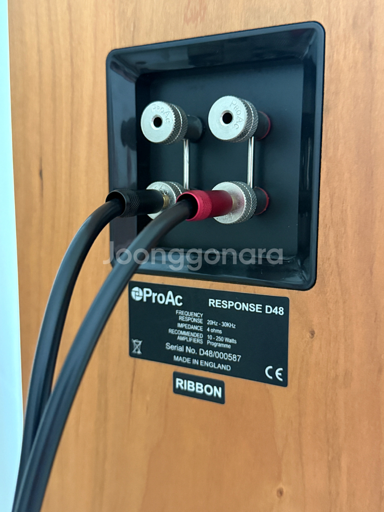 프로악 D48R 스피커--8