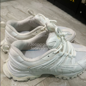 네셔널지오그래픽 265 가격내림