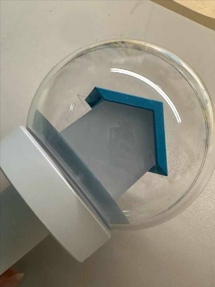 보넥도 응원봉 이미지