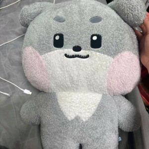 제베원 제로베이스원 박건욱 거니니 제로니 플랜쿠션 양도합니다 이미지