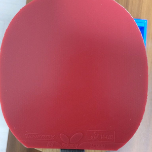 탁구체 10회사용