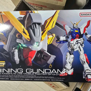 rg샤이닝 건담