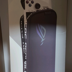 rog ally 정품 케이스