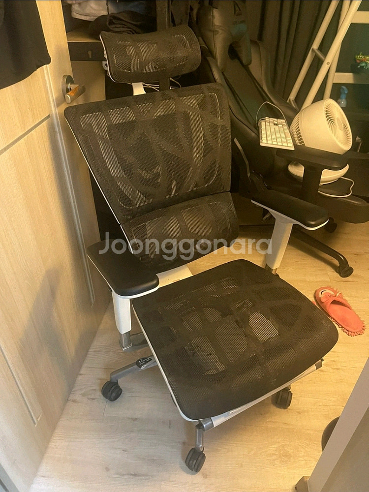 에르고휴먼I1 (IOO유체어) 의자 급처합니다. #허먼밀러 #에어론--0