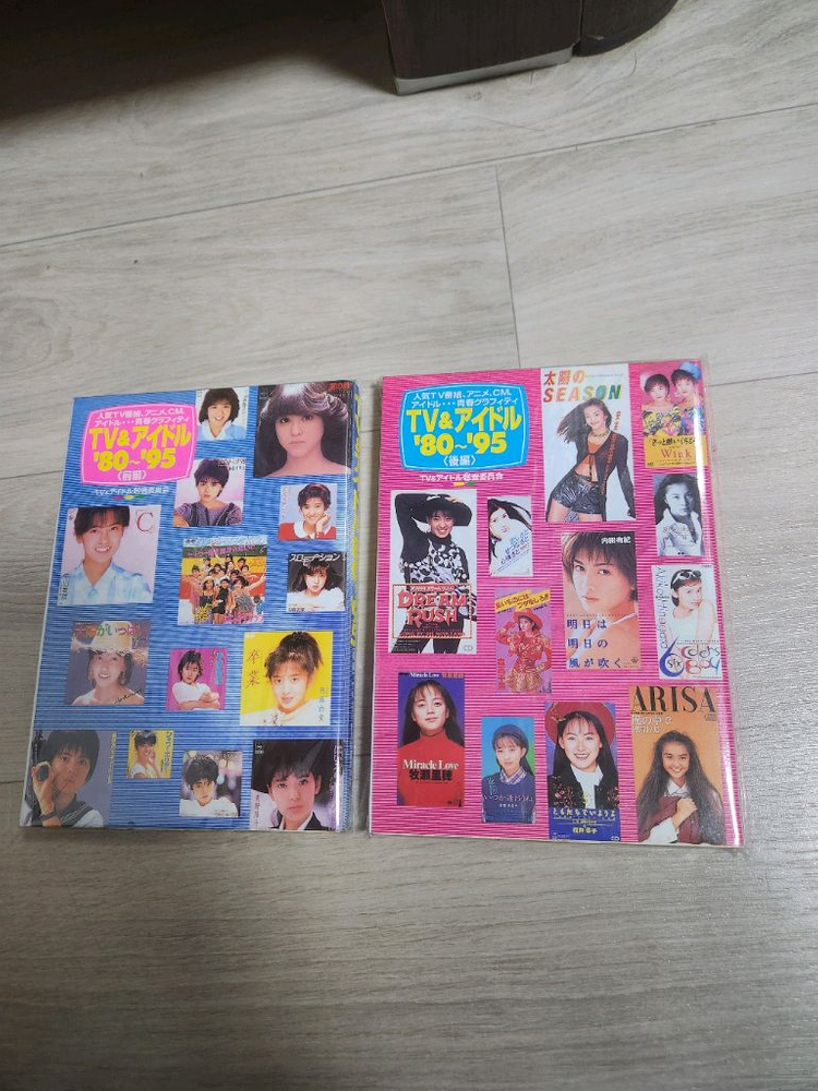 1980년대부터 1995년까지의 일본 TV 프로그램, 애니메이션, 아이돌 문화를 TV&아이돌 백과잡지 2권일괄--2