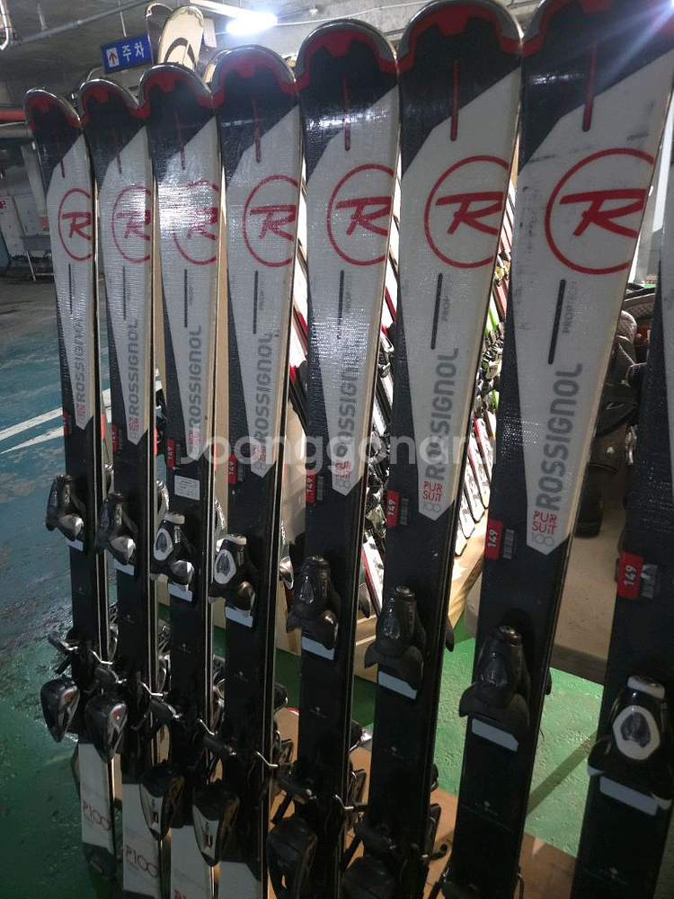 로시놀P100중고스키 149사이즈--2