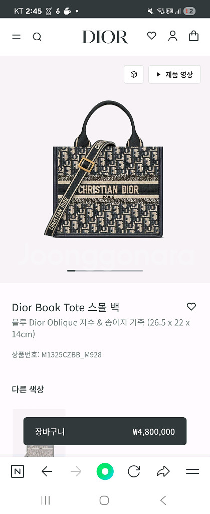 디올 오블리크 북토트 스몰(정품)--0