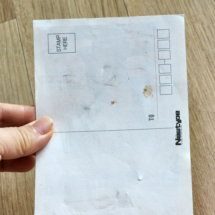 스즈미야하루히 굿즈 팝니다--3