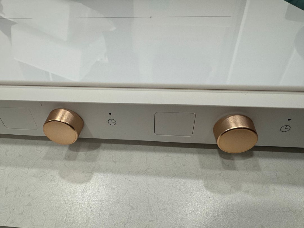 삼성 더 플레이트 인덕션 2구--1