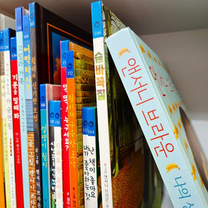 앤서니 브라운 세트 24