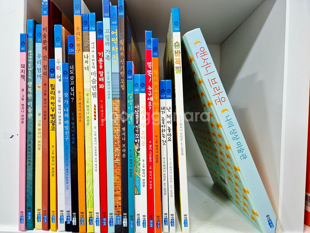 앤서니 브라운 세트 24--2