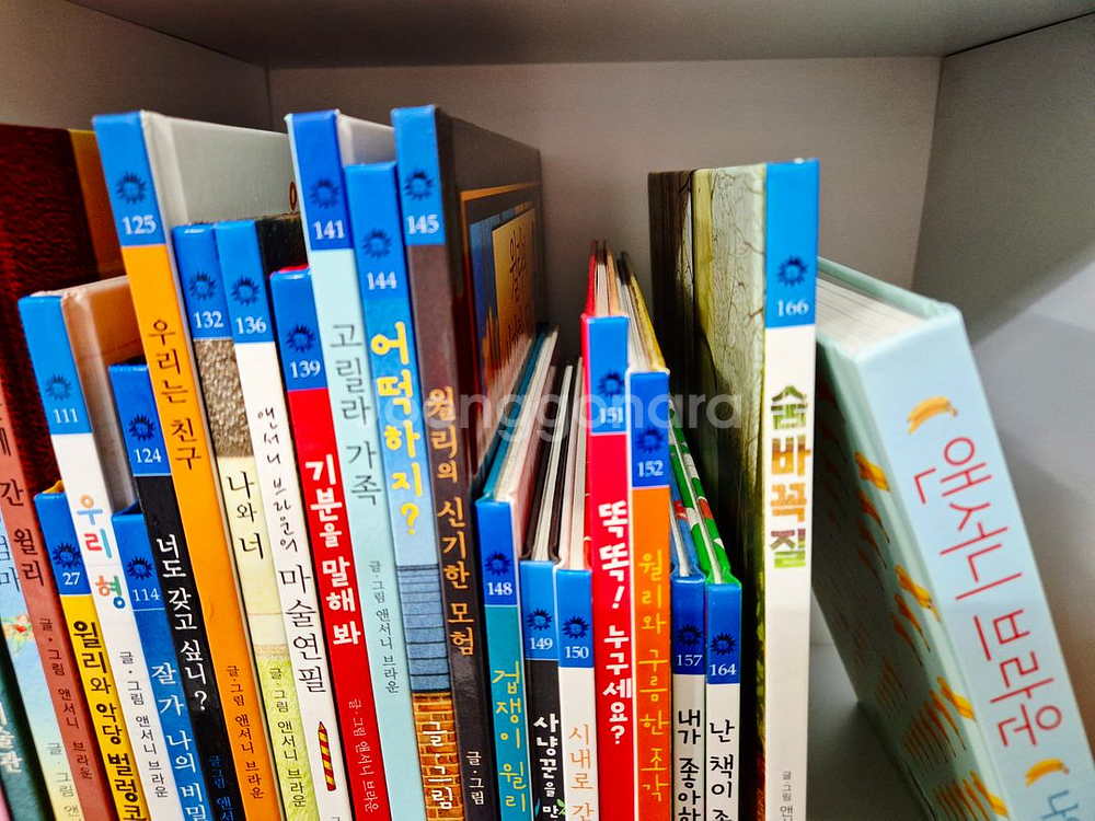 앤서니 브라운 세트 24--1