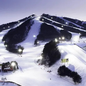 웰리힐리 단독 시즌권 구매합니다.