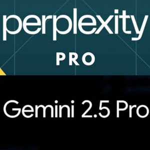 AI 프로 퍼플렉시티 + 제미나이 3.0 프로 1년